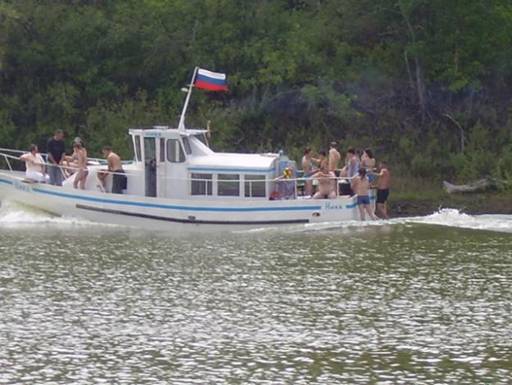 Картинка 49 из 239